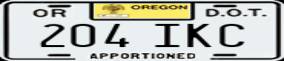 Truck License Plate